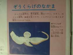 76921 B