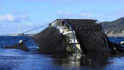 218465 B