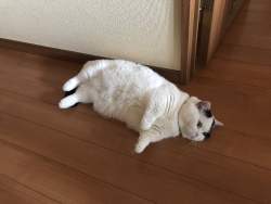 96240 B