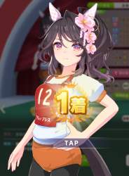 311247 B