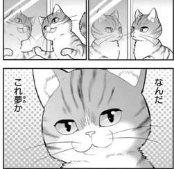 78711 B