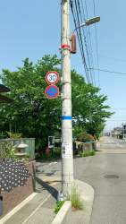700264 B