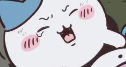 33577 B