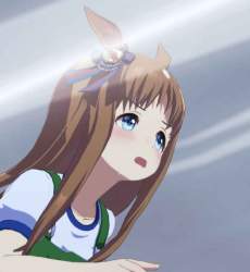 25827 B