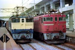 241129 B