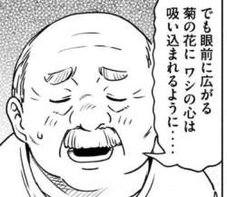 56804 B