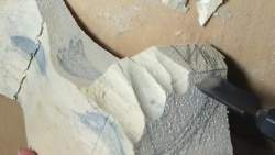 2494349 B