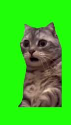420591 B