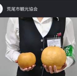 42898 B