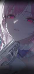 254293 B