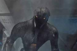 20308 B