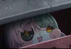 256547 B