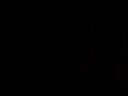 4922021 B