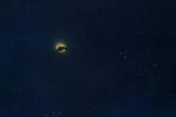 2041510 B