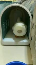 951333 B