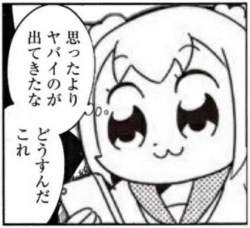 44076 B