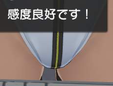 32419 B