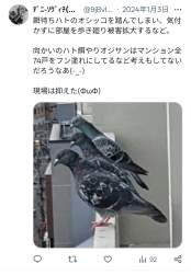 229867 B
