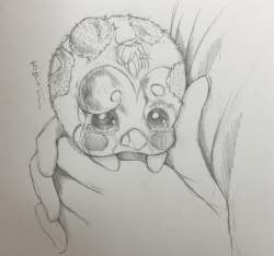 1162203 B