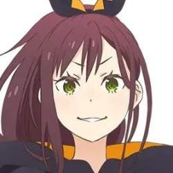 25516 B