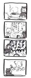 50292 B