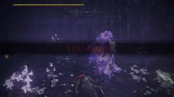 3024382 B