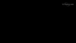 5010095 B