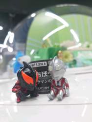 227428 B