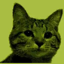 1239335 B