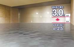 44431 B