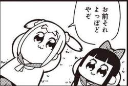 45923 B