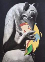 49269 B