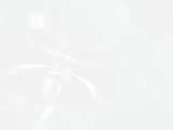 8145806 B