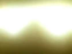 4407226 B