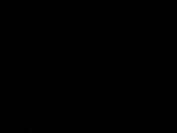 3333580 B