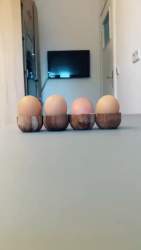224482 B
