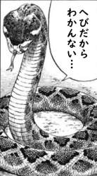 56756 B