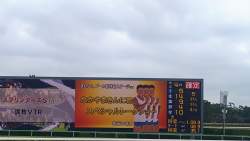 1243925 B