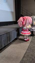 4271278 B