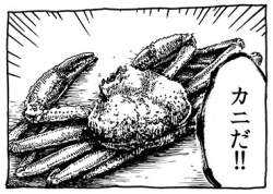 42164 B