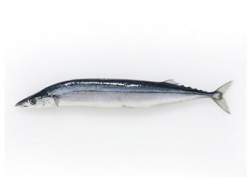 5340 B