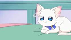 20818 B