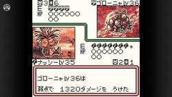56624 B