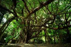 1695311 B