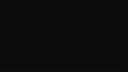 8156837 B