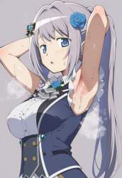 1255233 B