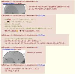 239536 B