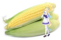 226551 B