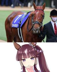 125879 B