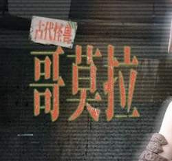 74516 B